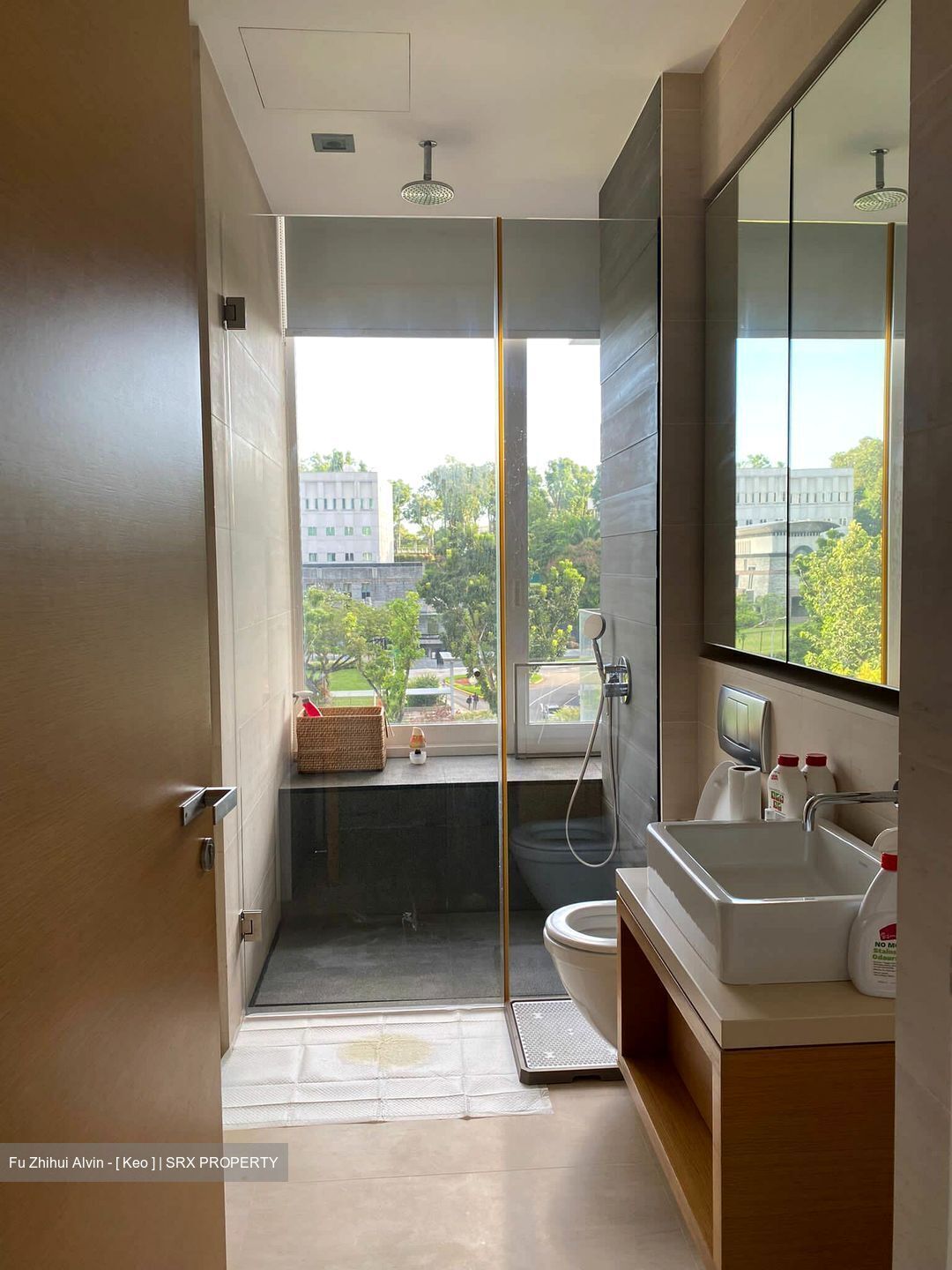 8 Napier (D10), Condominium #610687401